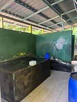 TEMPAT MANDI